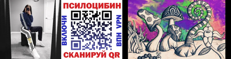 где купить наркоту  Сим  Галлюциногенные грибы мухоморы 